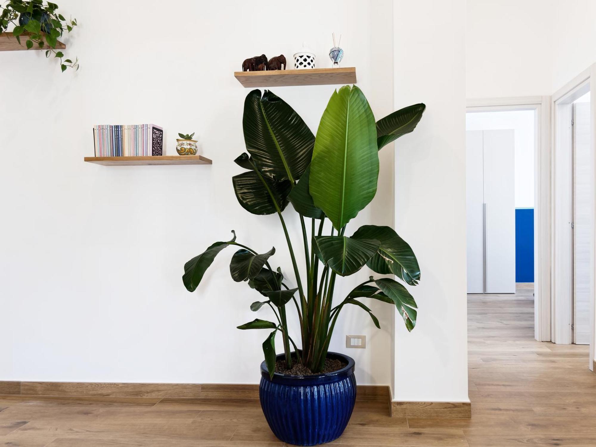 Susanna Boutique Home ヴィーコ・エクエンセ エクステリア 写真