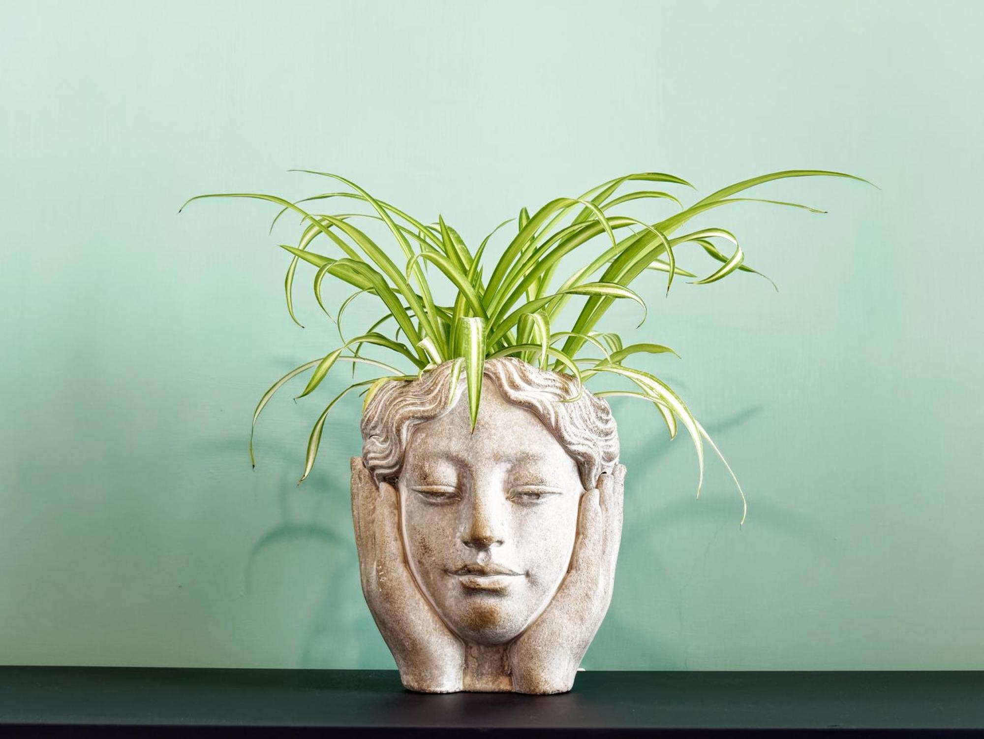 Susanna Boutique Home ヴィーコ・エクエンセ エクステリア 写真
