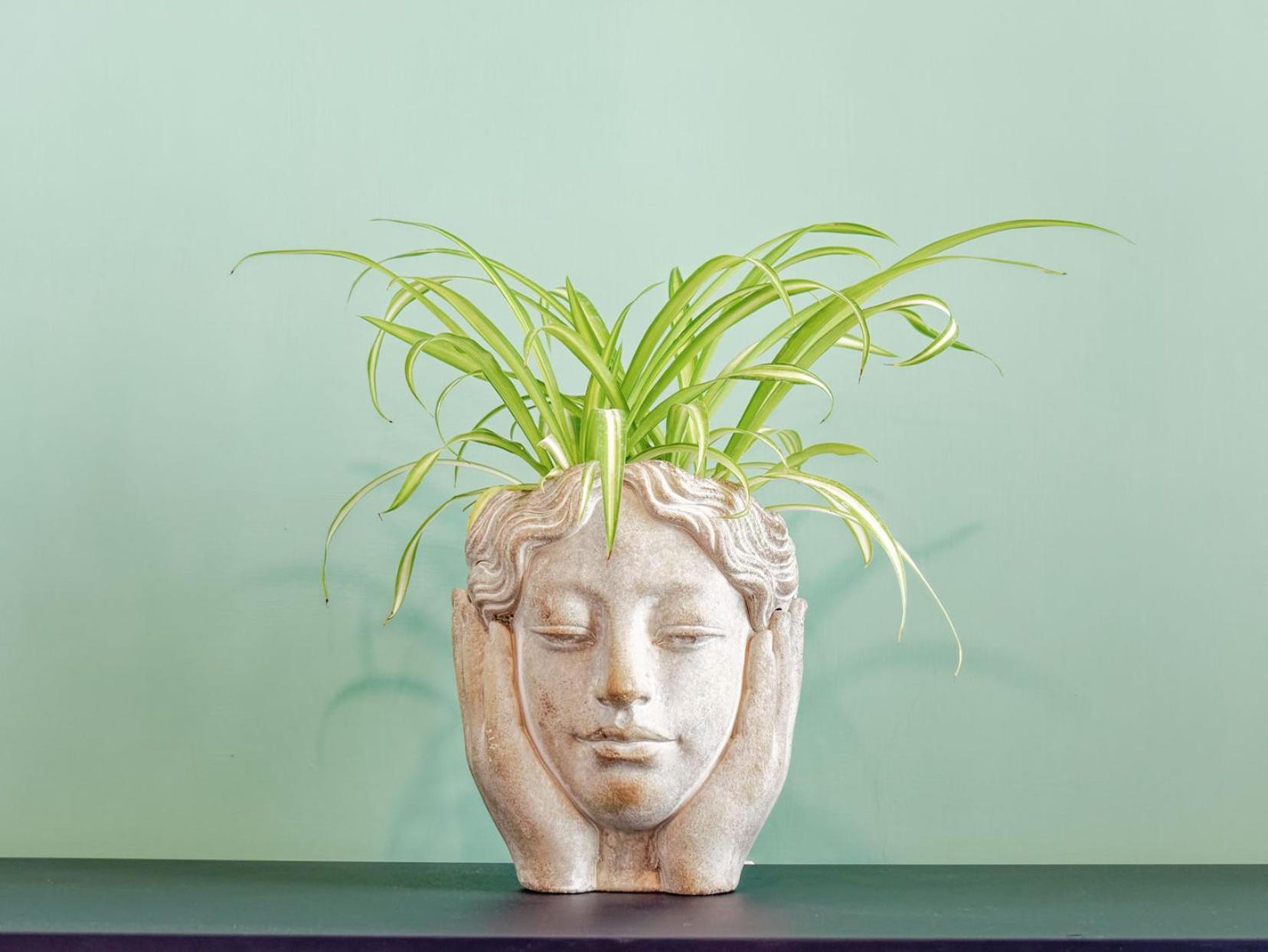 Susanna Boutique Home ヴィーコ・エクエンセ エクステリア 写真